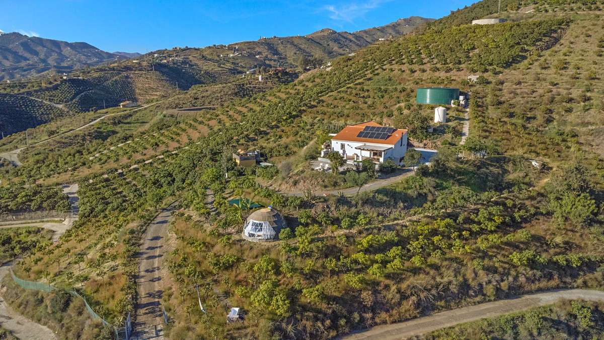 Finca - Cortijo in Benamargosa-48