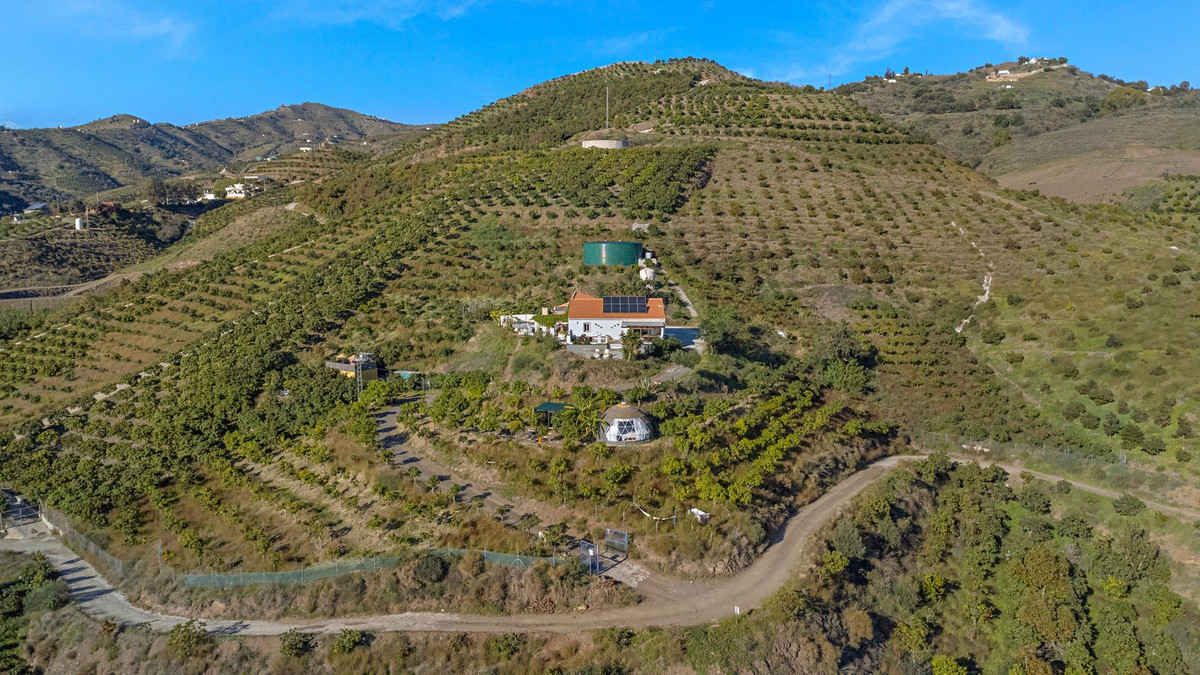 Finca - Cortijo in Benamargosa-49