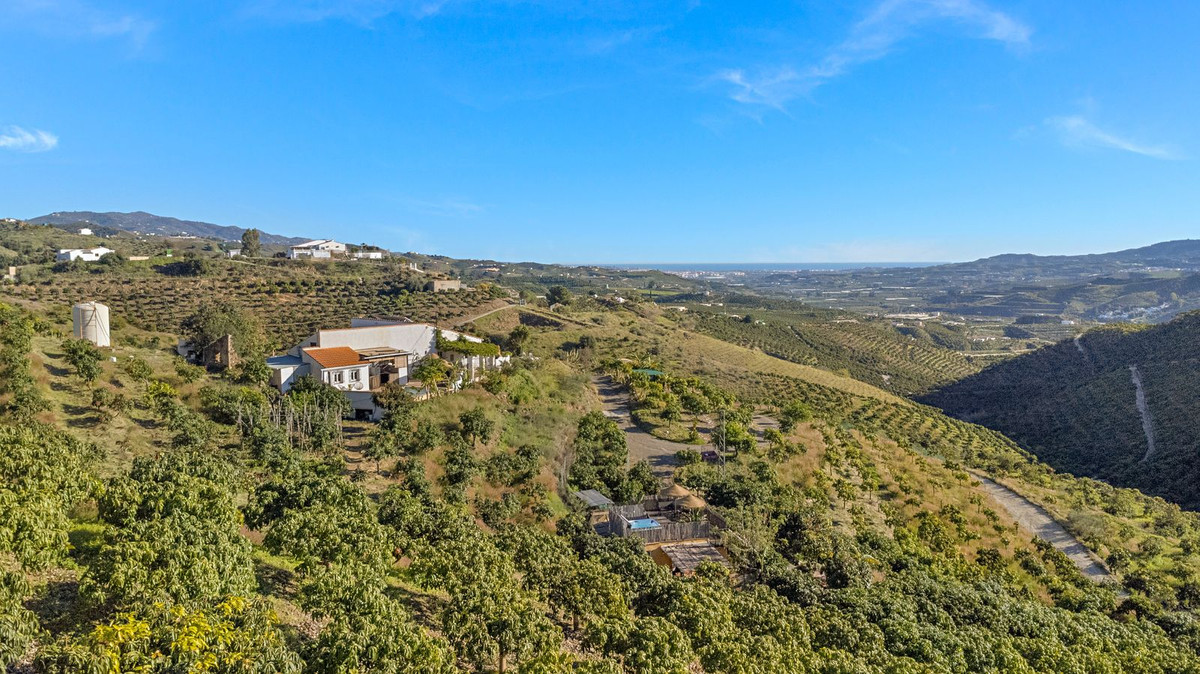 Finca - Cortijo in Benamargosa-54