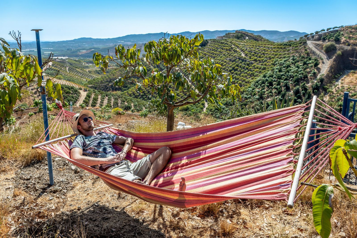 Finca - Cortijo in Benamargosa-57