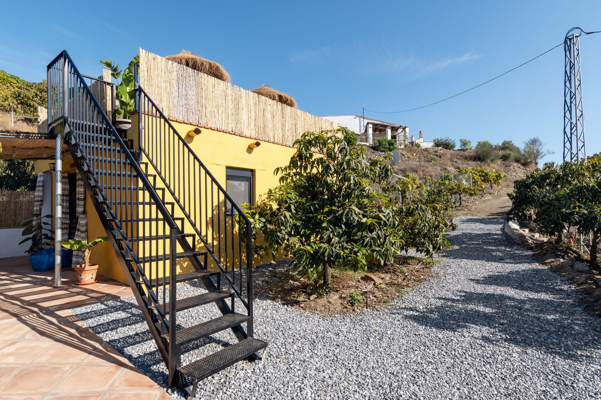 Finca - Cortijo in Benamargosa-59
