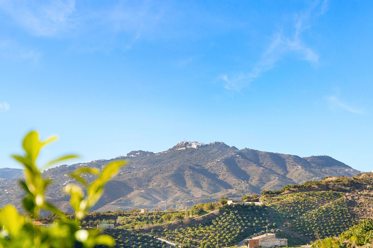 Finca - Cortijo in Benamargosa-6