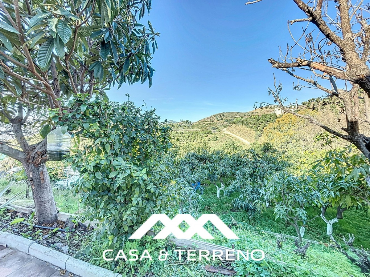 Semi-Vrijstaande Villa in Benamargosa-31