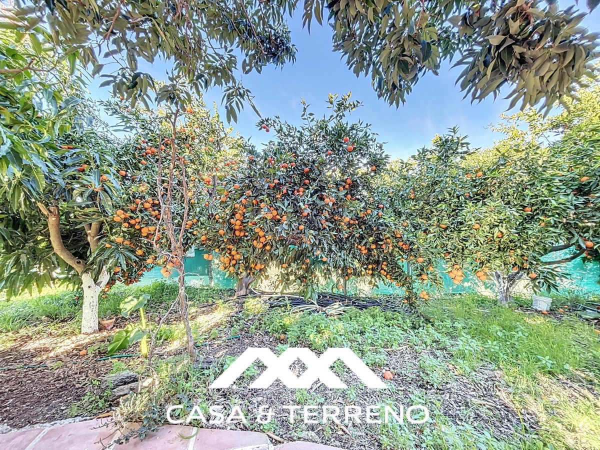 Semi-Vrijstaande Villa in Benamargosa-35