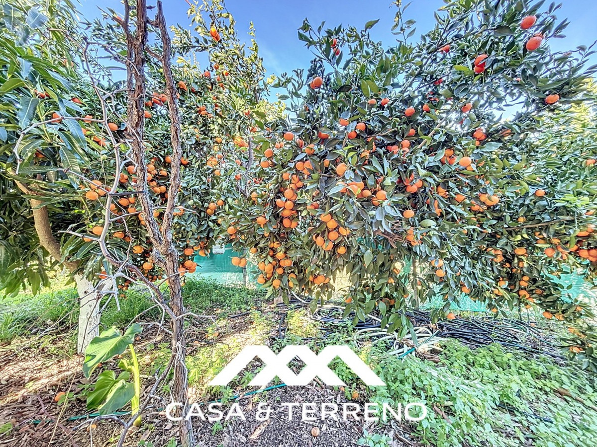 Semi-Vrijstaande Villa in Benamargosa-36