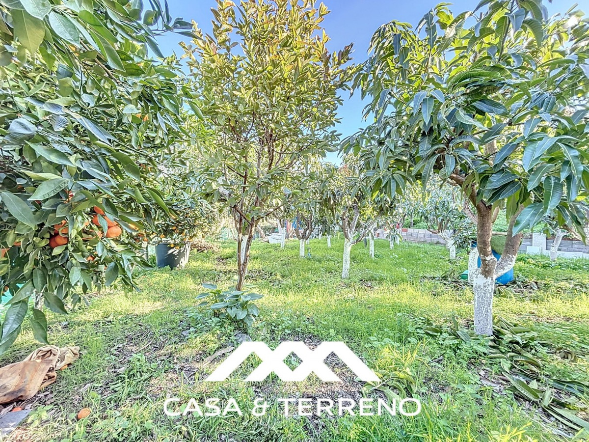 Semi-Vrijstaande Villa in Benamargosa-37