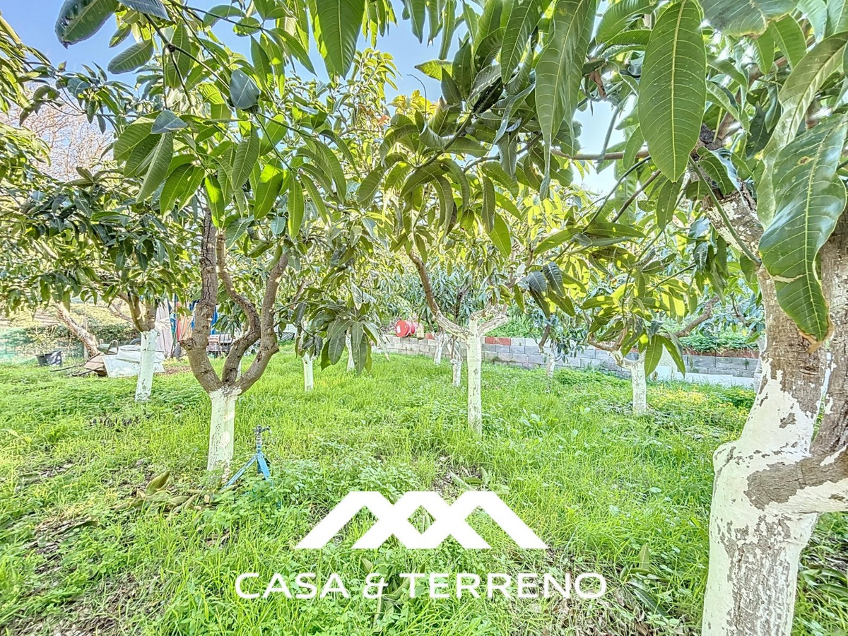 Semi-Vrijstaande Villa in Benamargosa-38