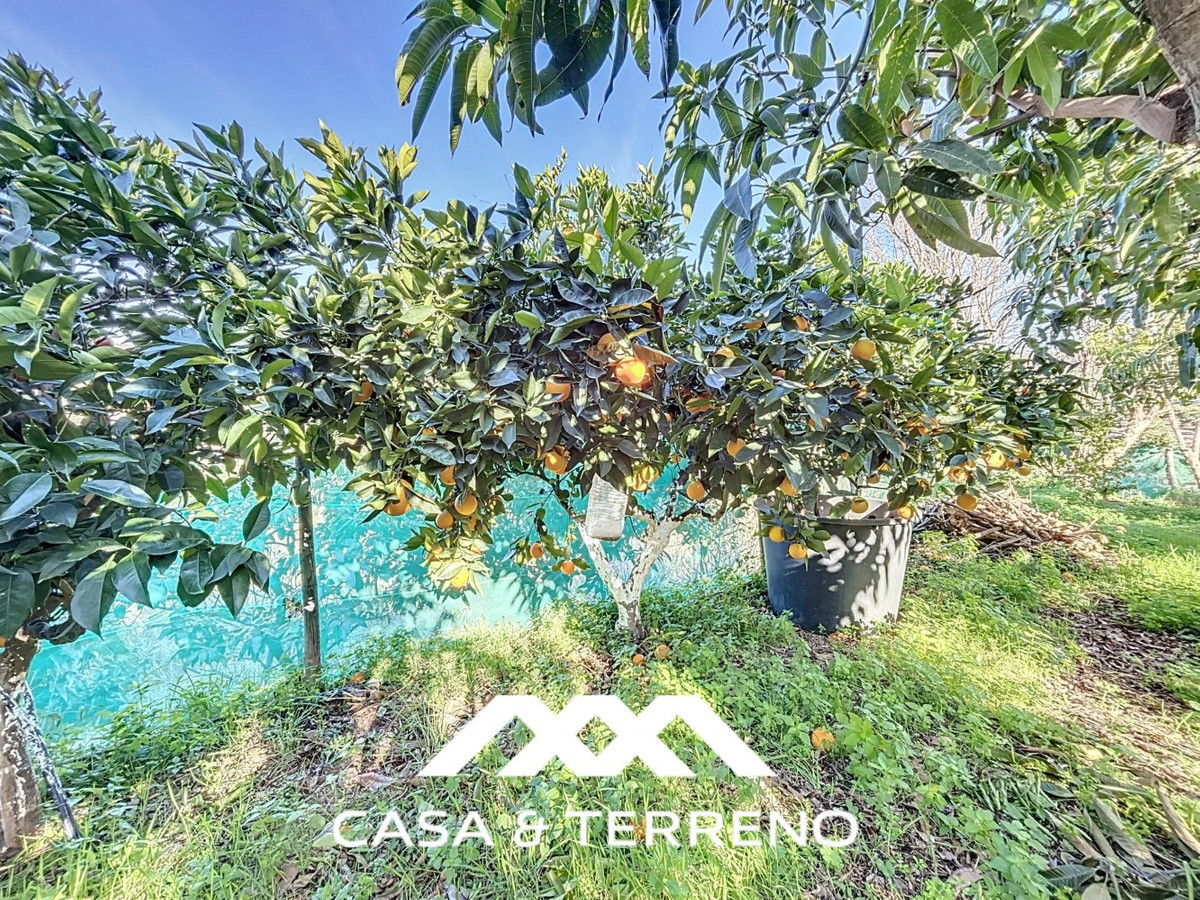 Semi-Vrijstaande Villa in Benamargosa-39