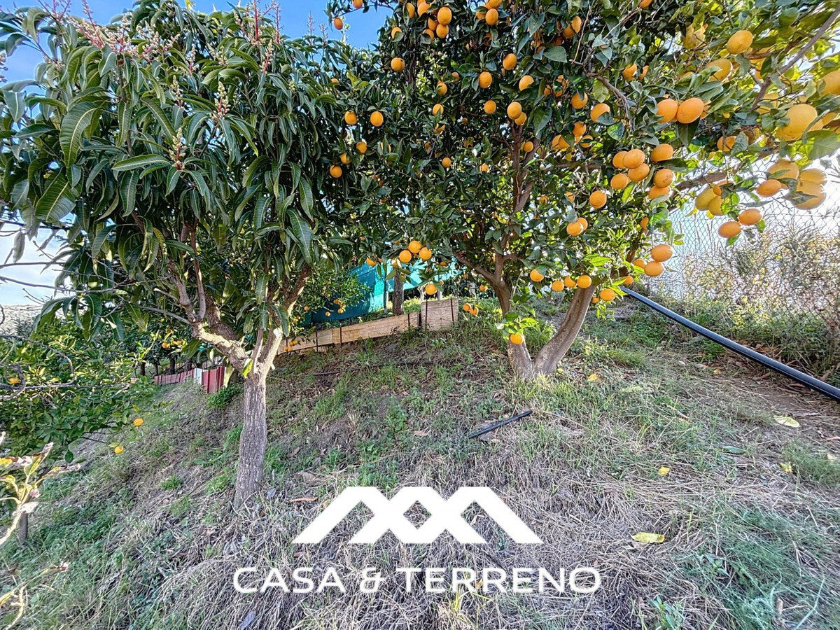 Semi-Vrijstaande Villa in Benamargosa-40