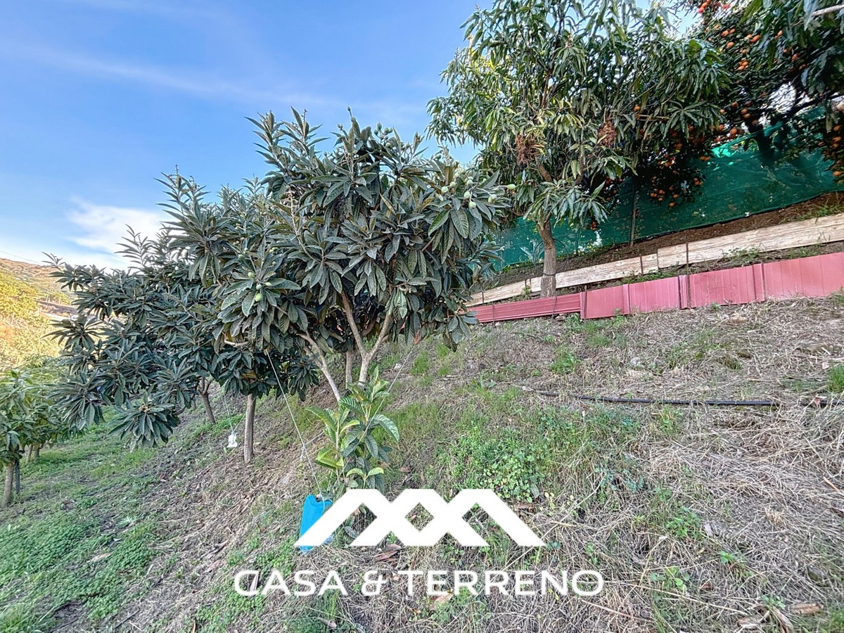Semi-Vrijstaande Villa in Benamargosa-42