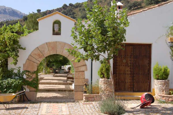 Finca - Cortijo in Benaoján-1