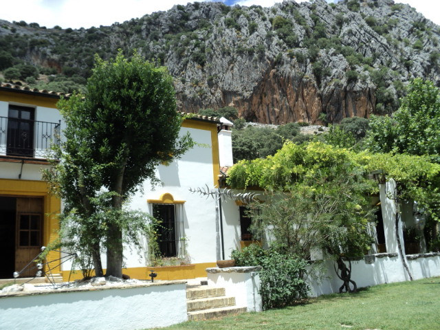 Finca - Cortijo in Benaoján-2