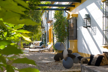 Finca - Cortijo in Benaoján-4