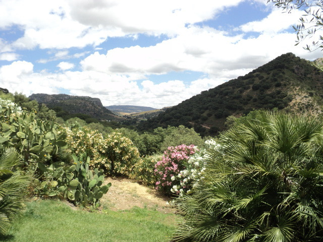 Finca - Cortijo in Benaoján-8