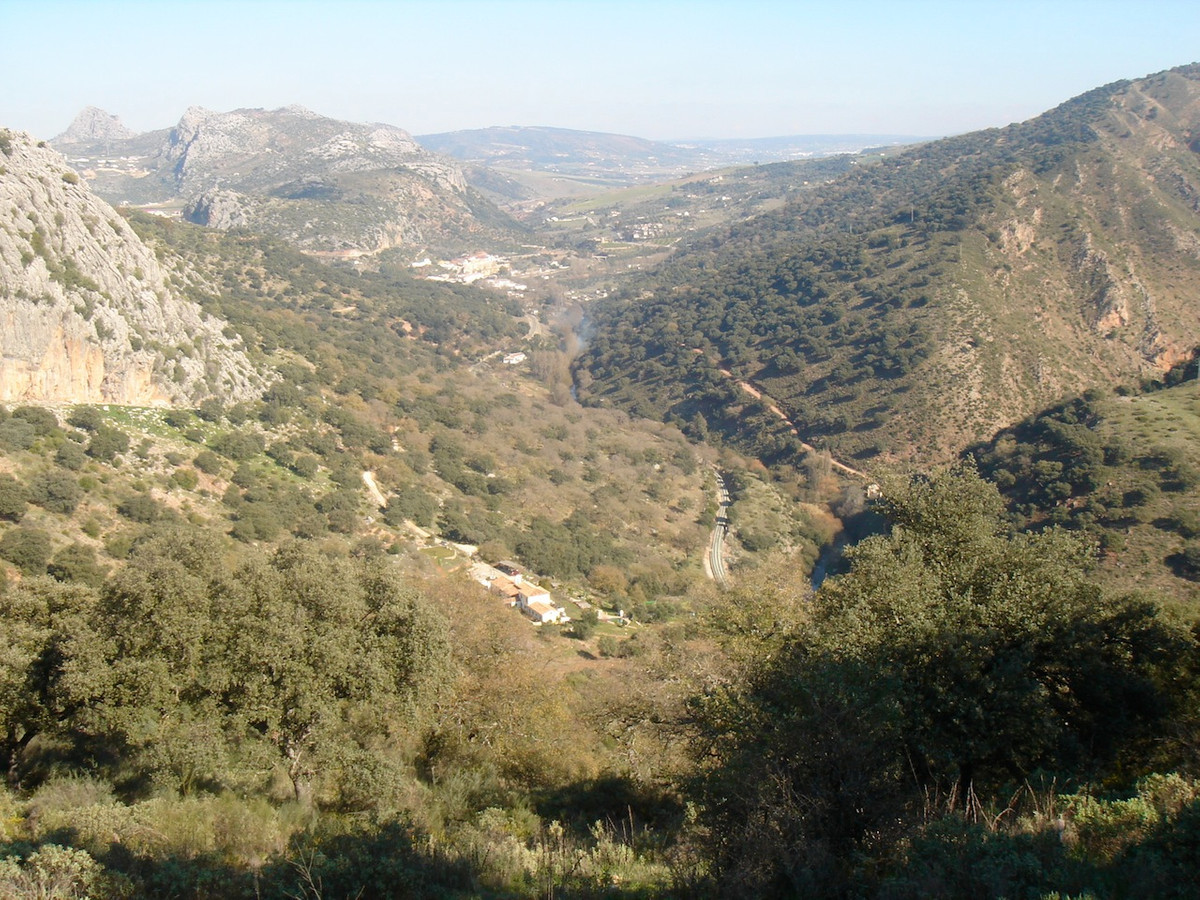 Finca - Cortijo in Benaoján-9