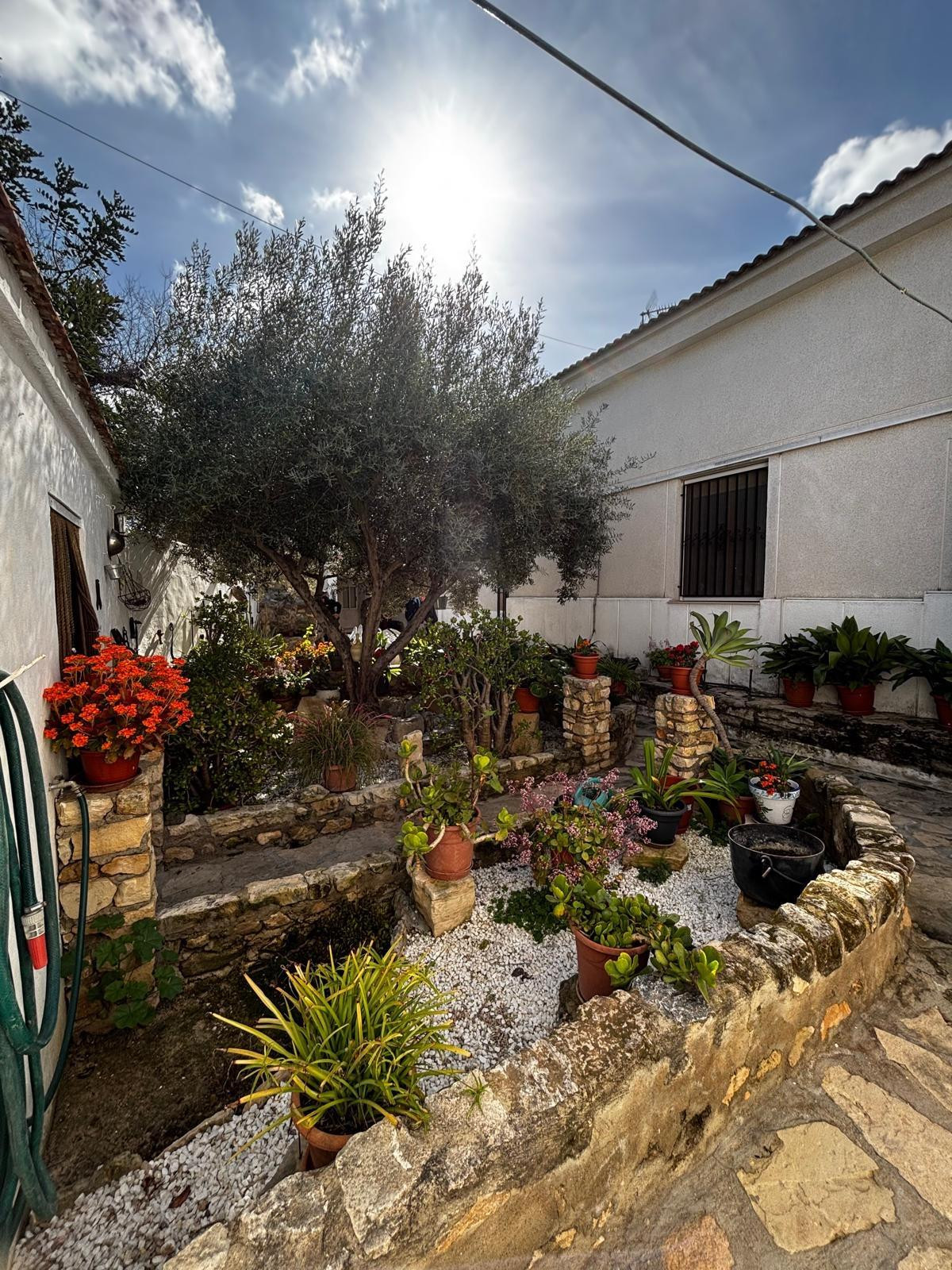 Property main view 2