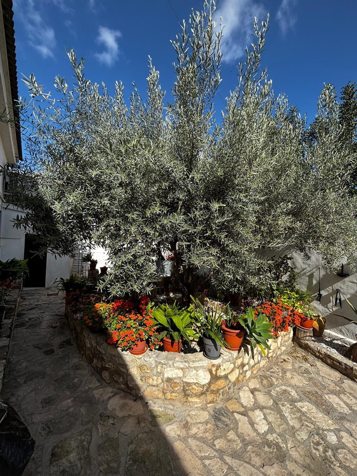 Property main view 3