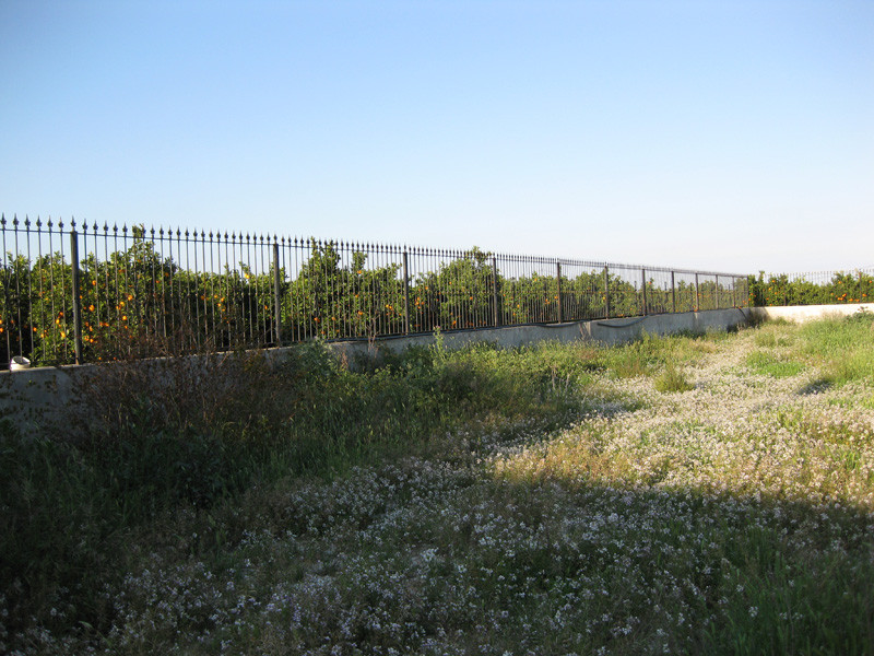 Property main view 10