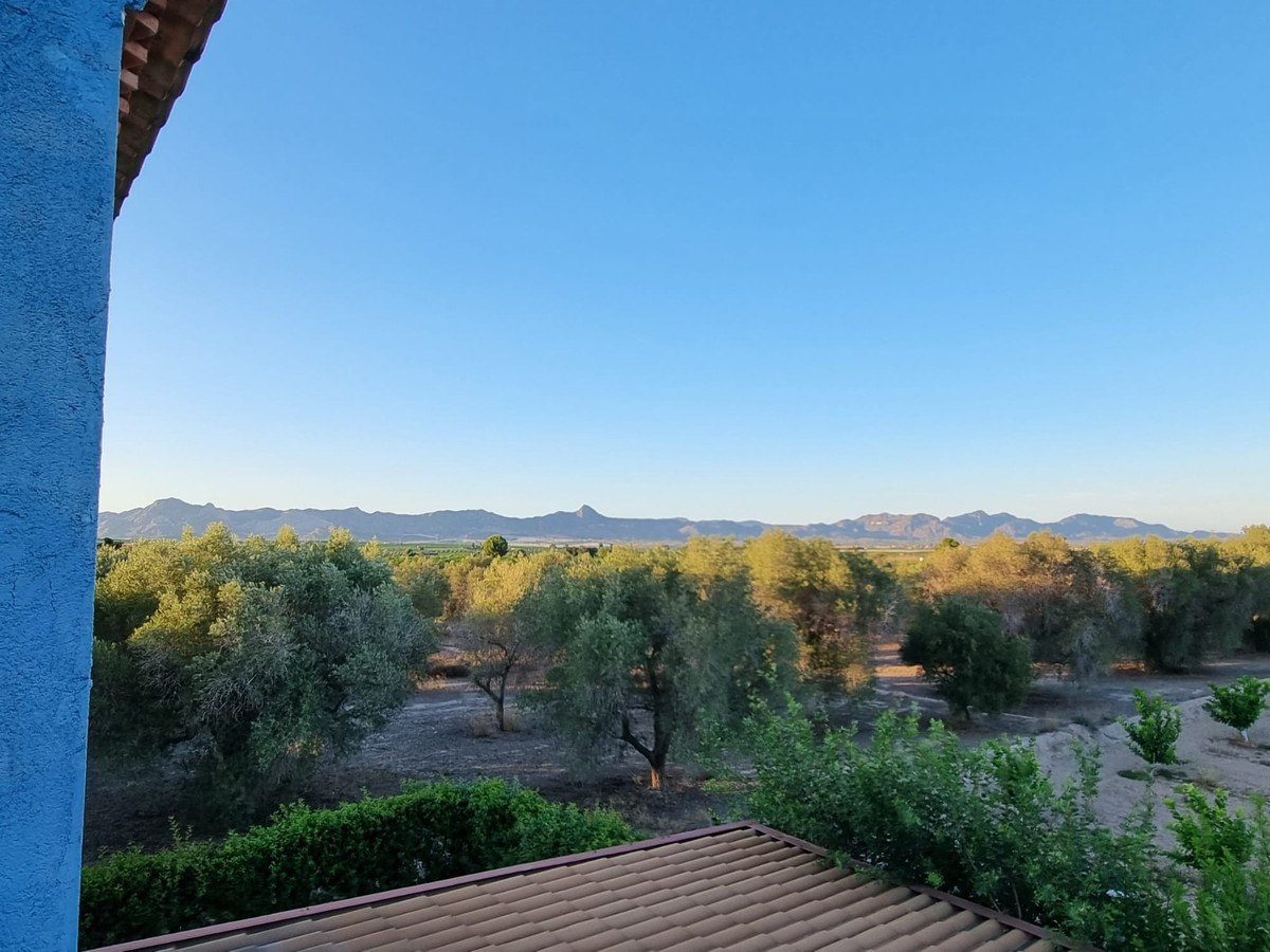 Property main view 19