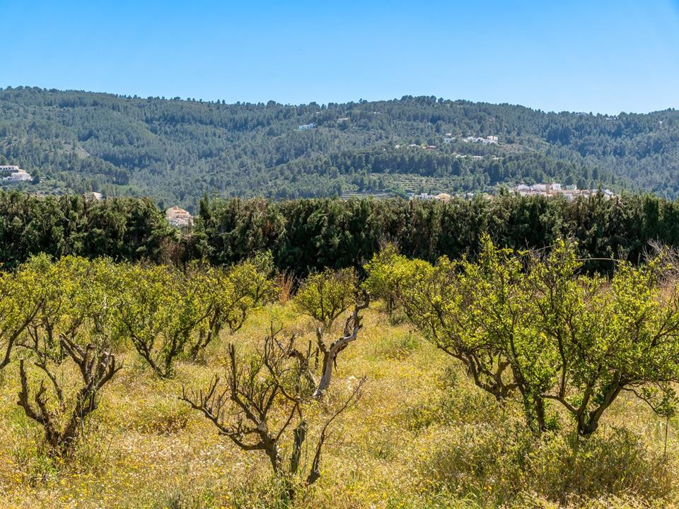 Huis te koop in Benidoleig | 5 slaapkamers H5234830