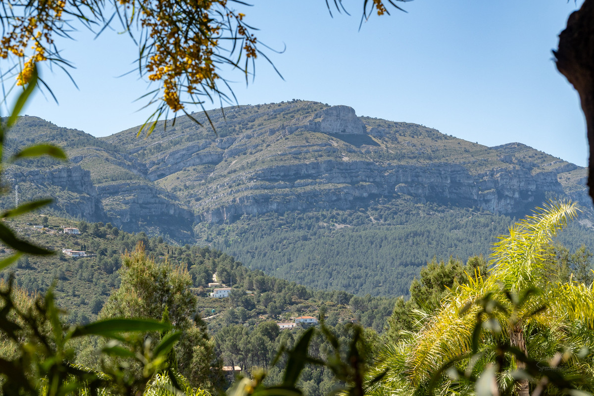 Property main view 42