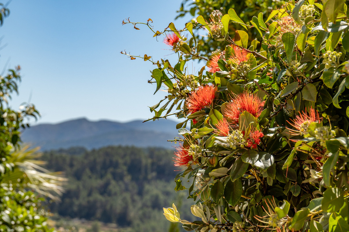 Property main view 44