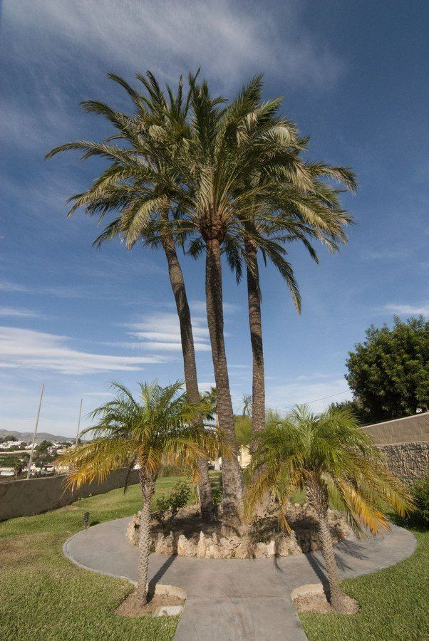 Property main view 39