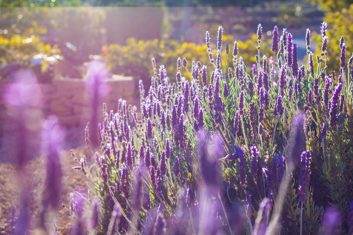 Property main view 2