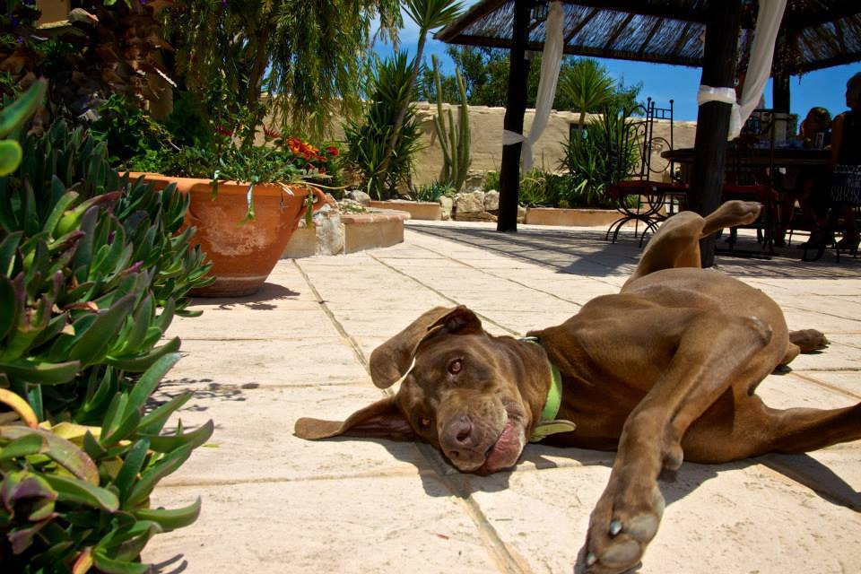 Property main view 4