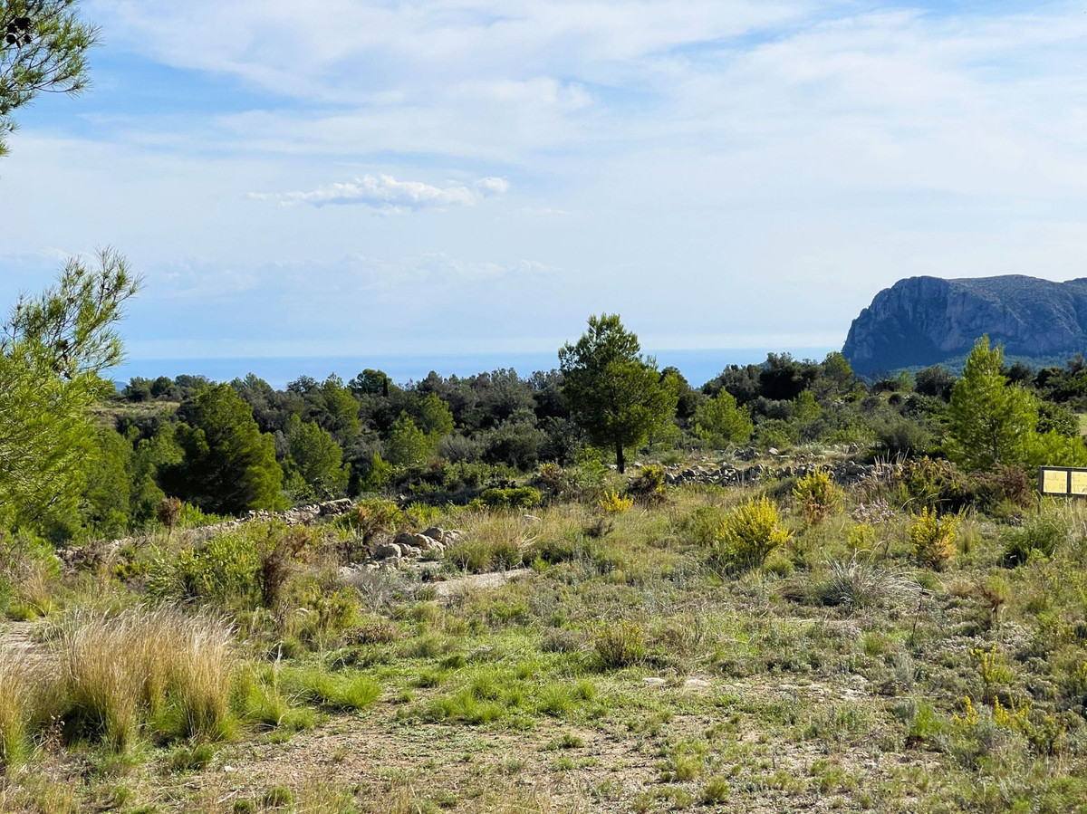 Property main view 10