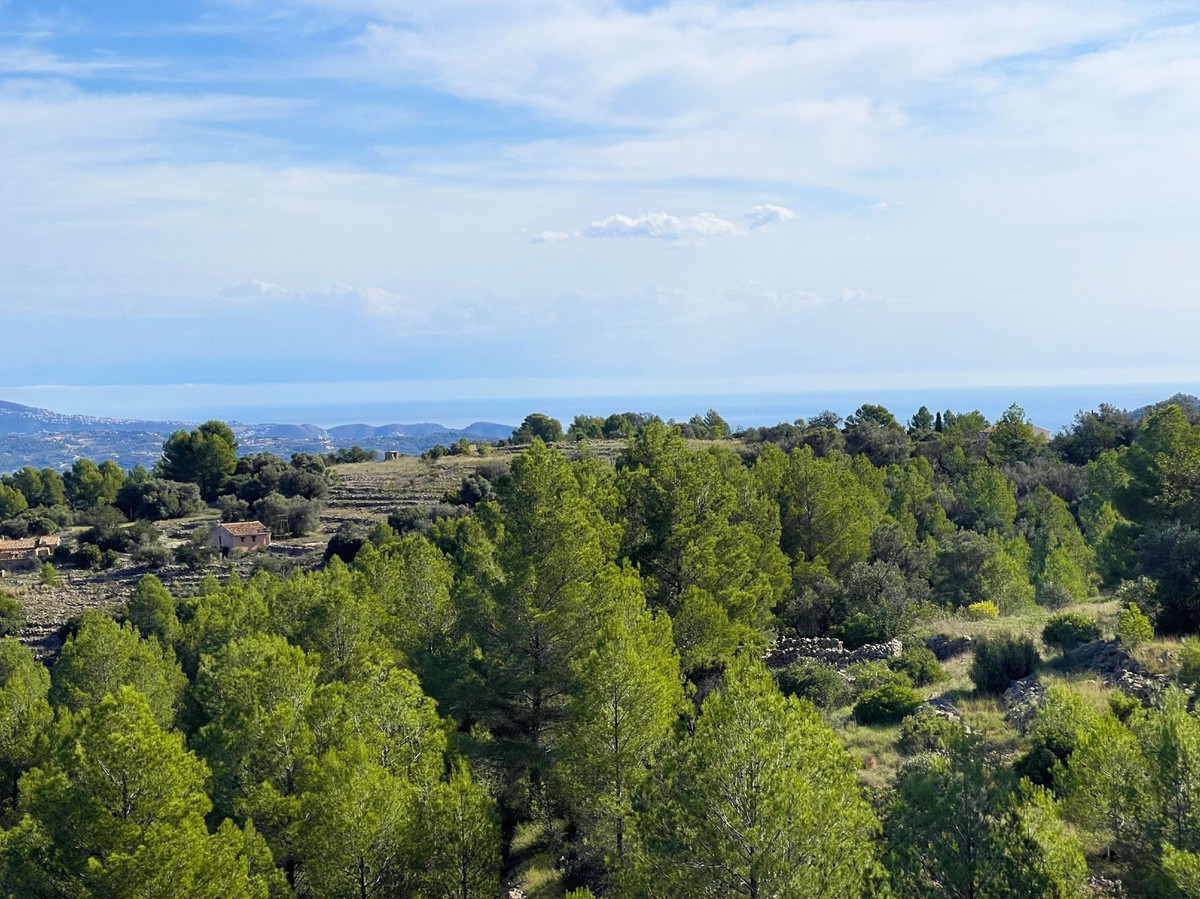 Property main view 2