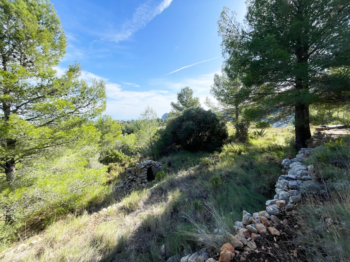 Property main view 21