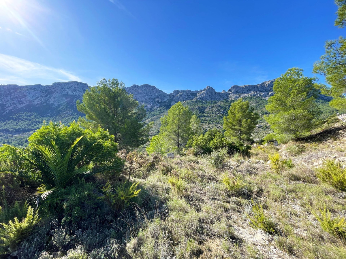 Property main view 40