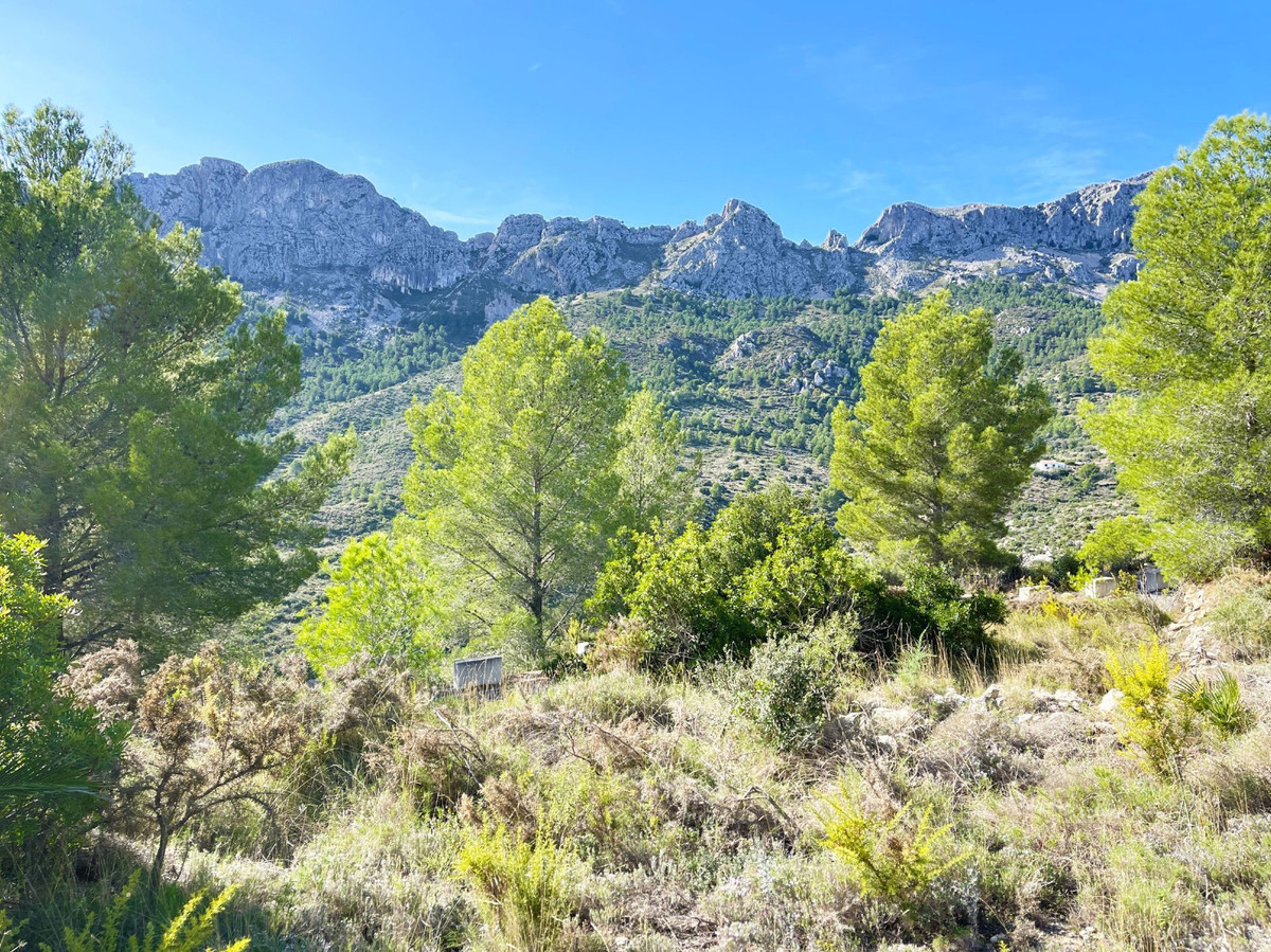 Property main view 42