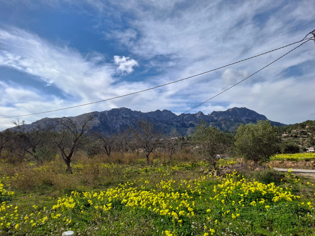 Finca - Cortijo te koop in Benissa | 8 slaapkamers H5523073