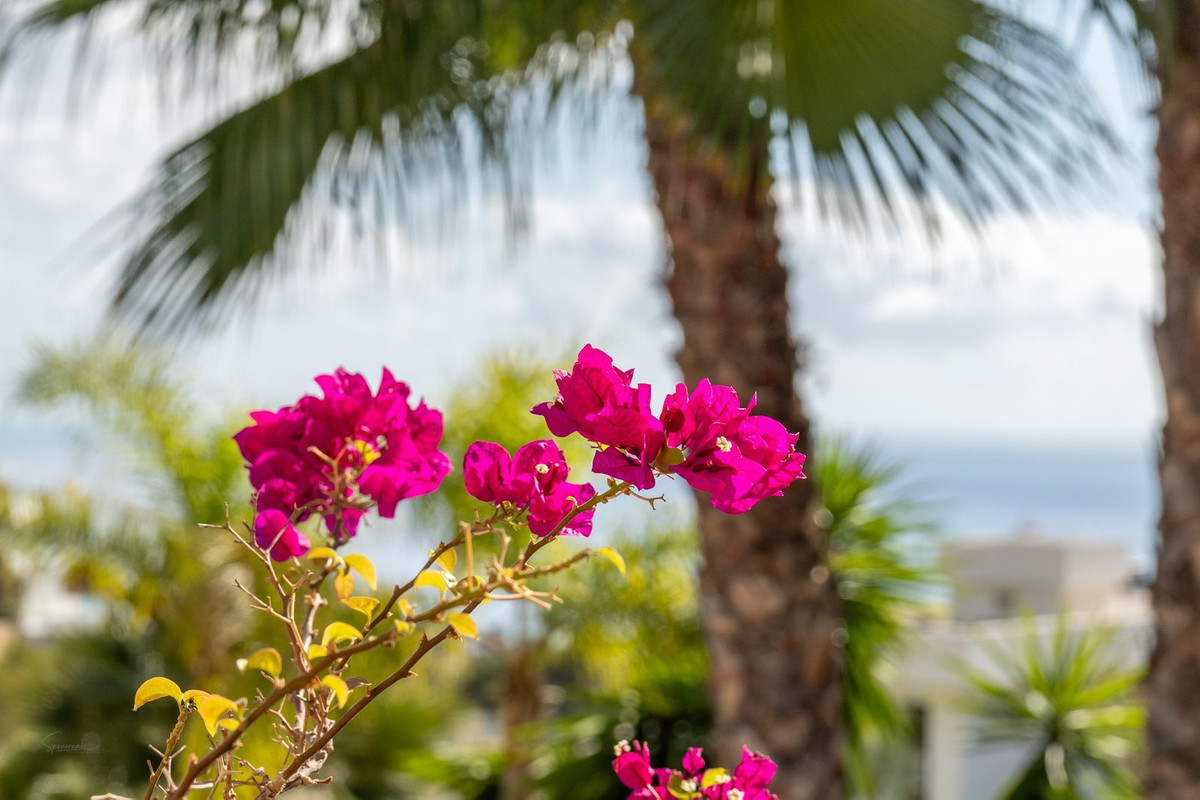 Huis te koop in Benissa Coast | 4 slaapkamers H5232250