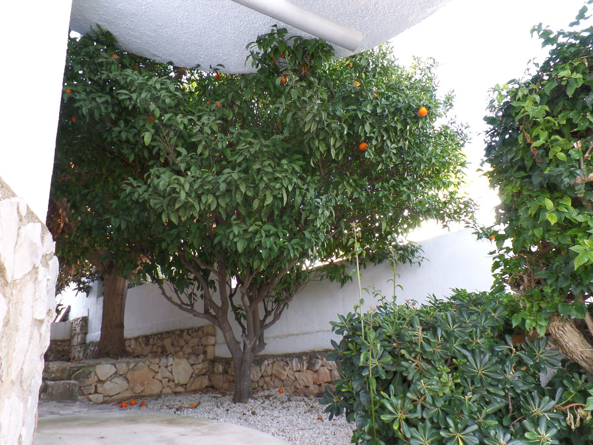 Property main view 58