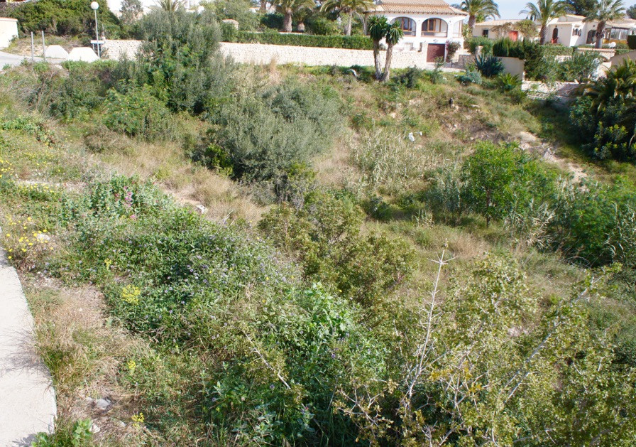 Property view