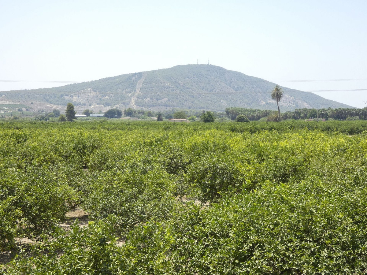 Property main view 50