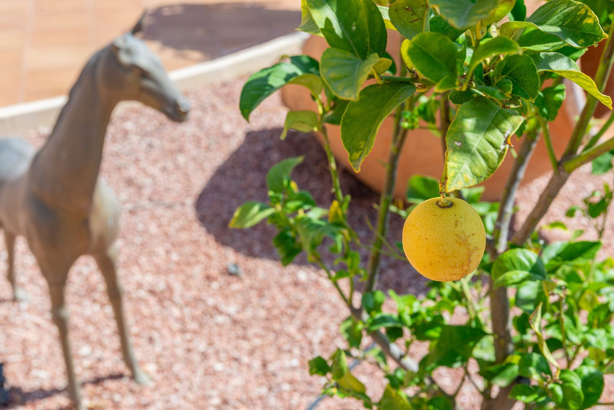 Vrijstaande Villa te koop in Busot | 5 slaapkamers H4063117