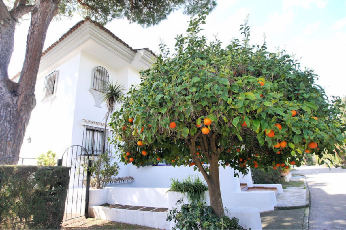 Property main view 8