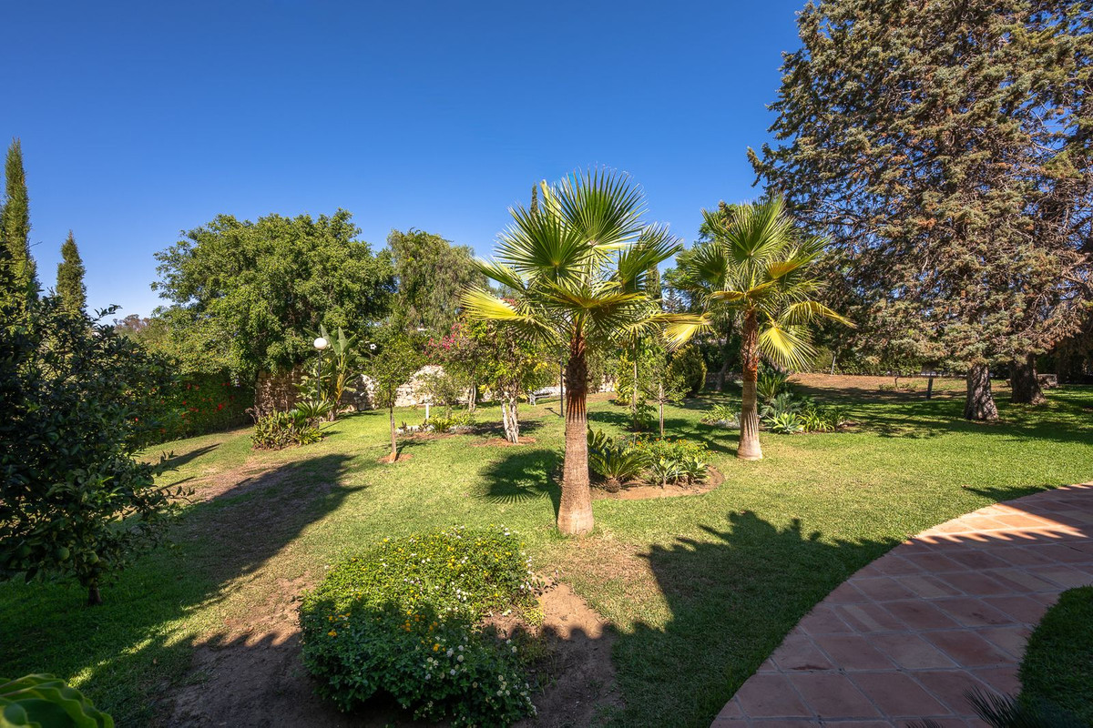 Property main view 21
