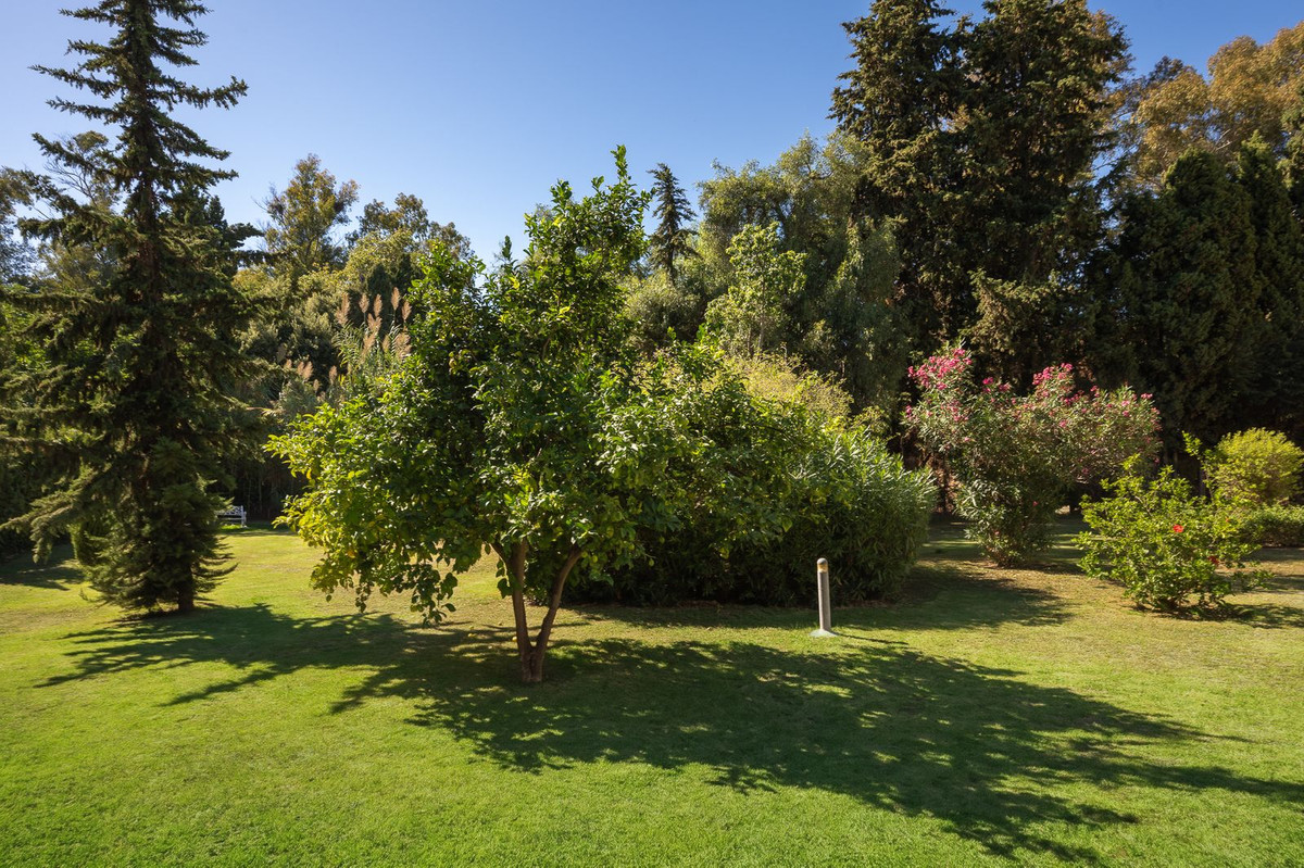 Property main view 25