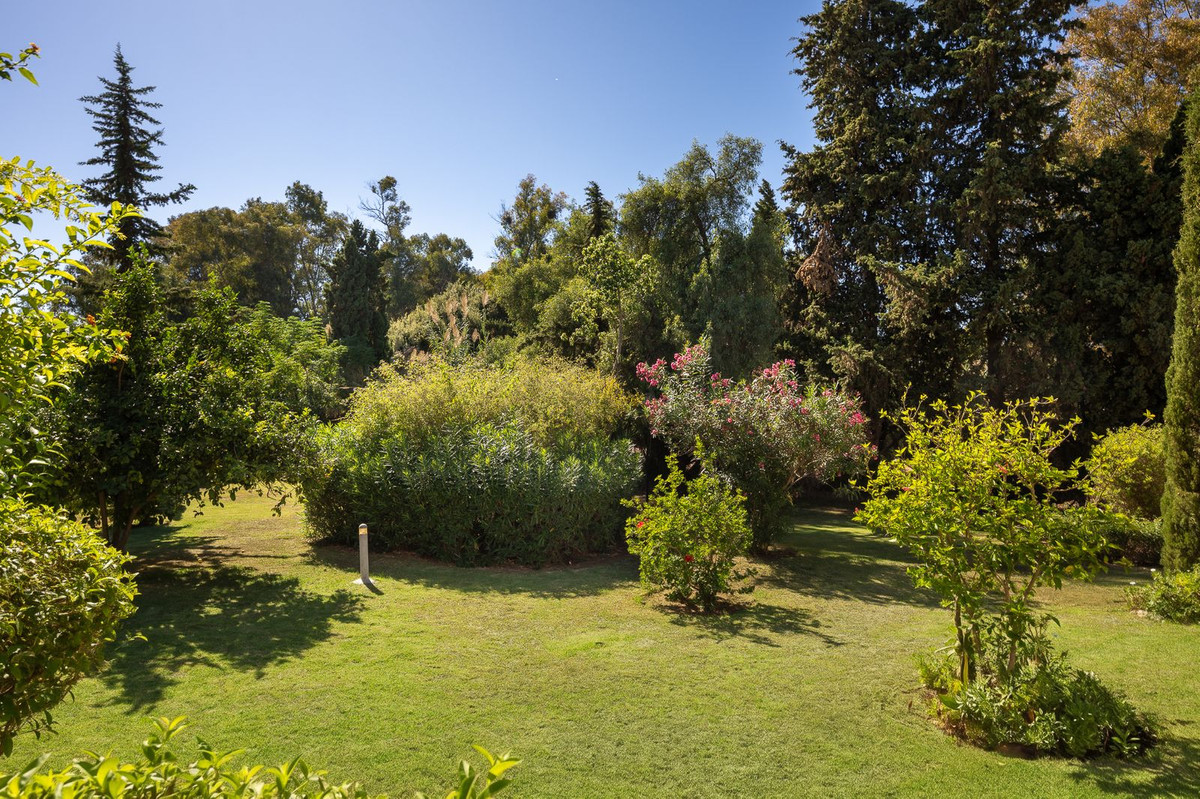 Property main view 26