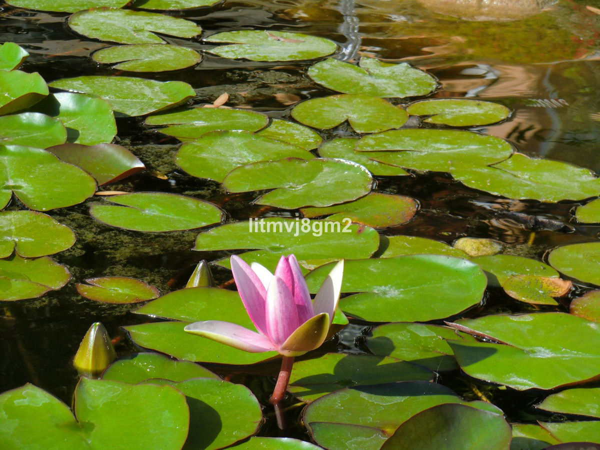 Property main view 40