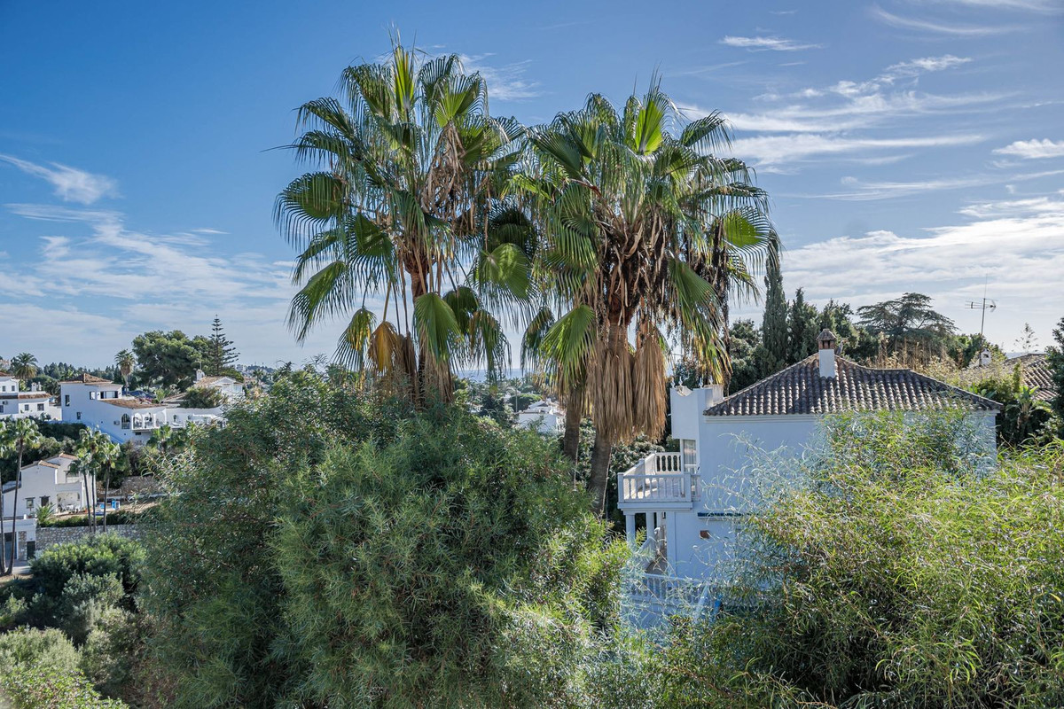 Property main view 49