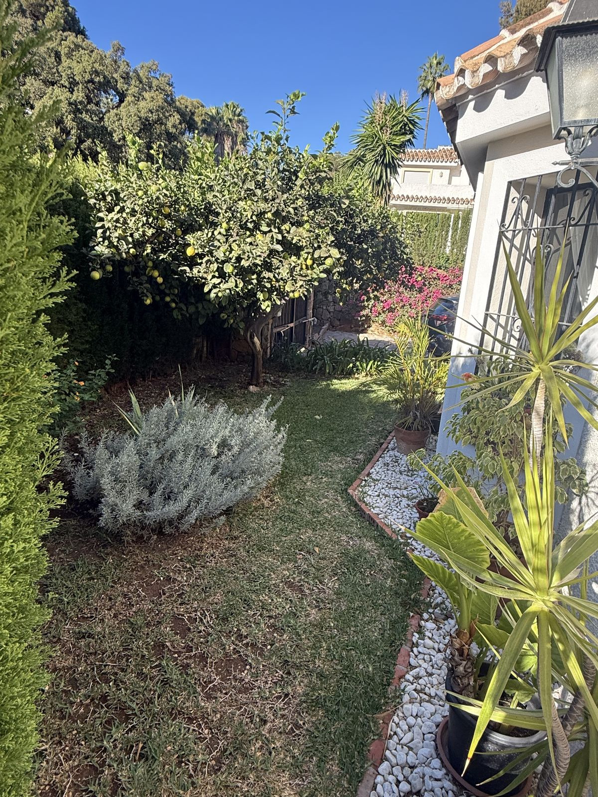 Property main view 14