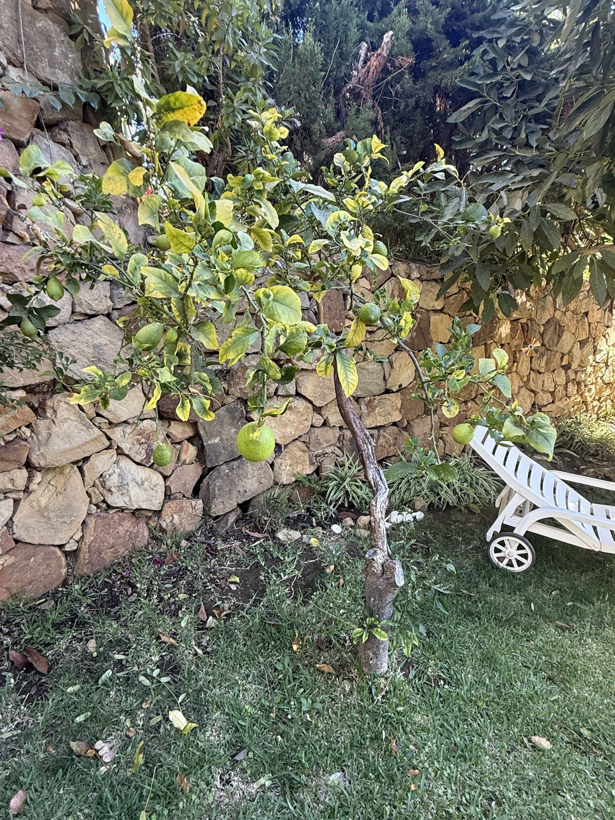 Property main view 16