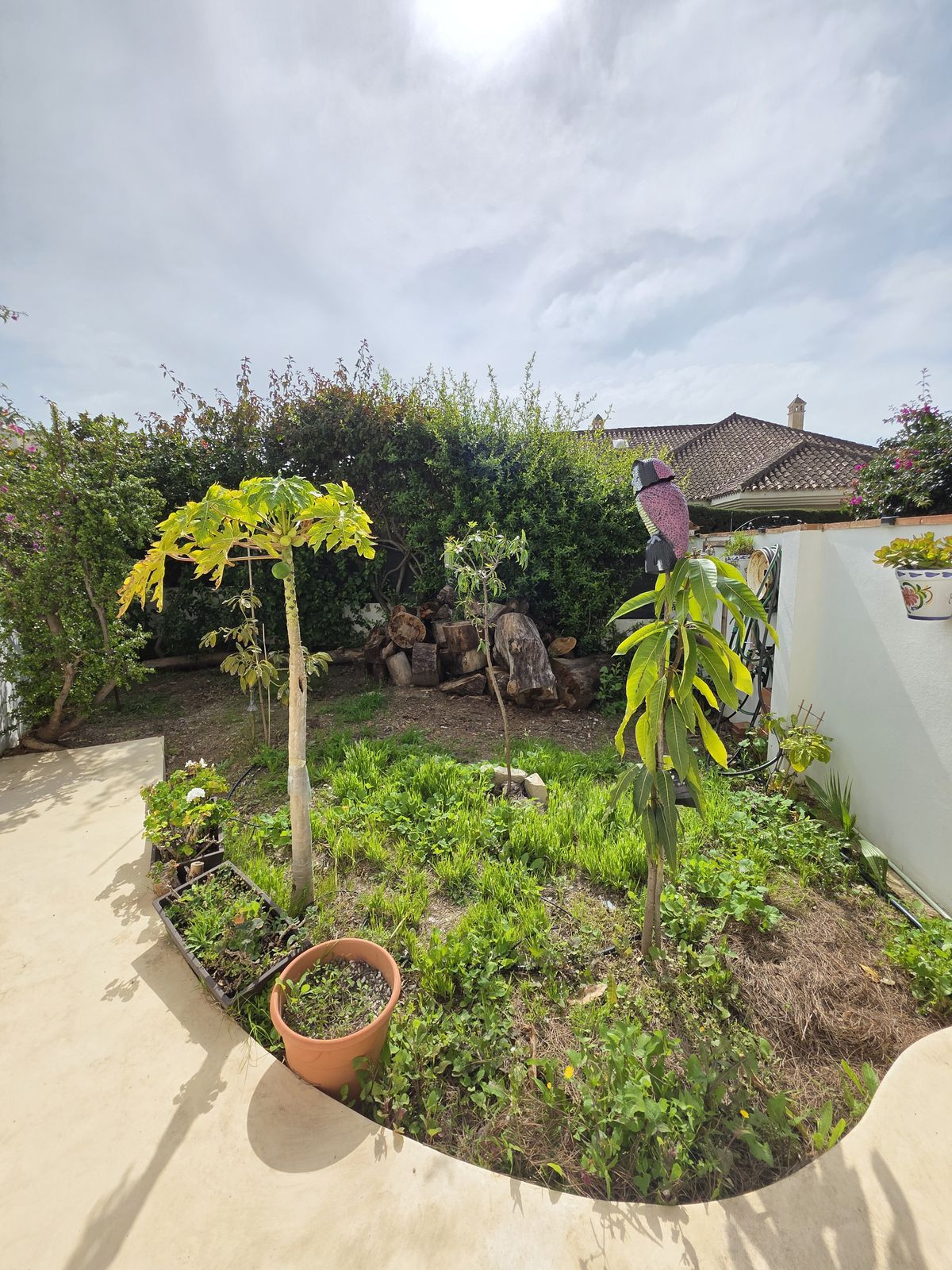 Property main view 32