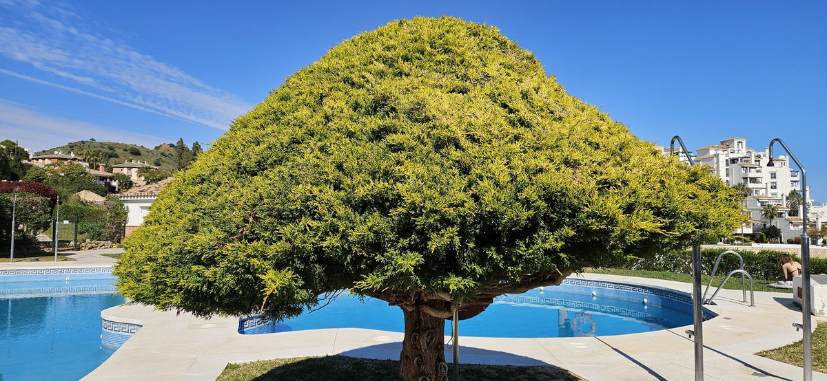 Huis te koop in Calahonda | 2 slaapkamers H5342359